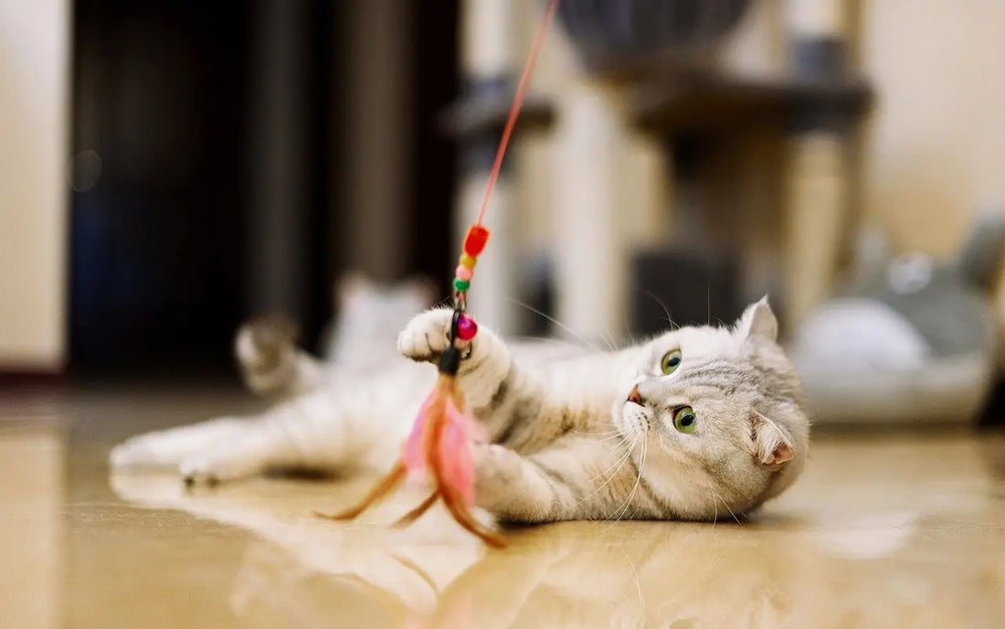 Jouets traditionnels pour chat : toujours efficaces ?