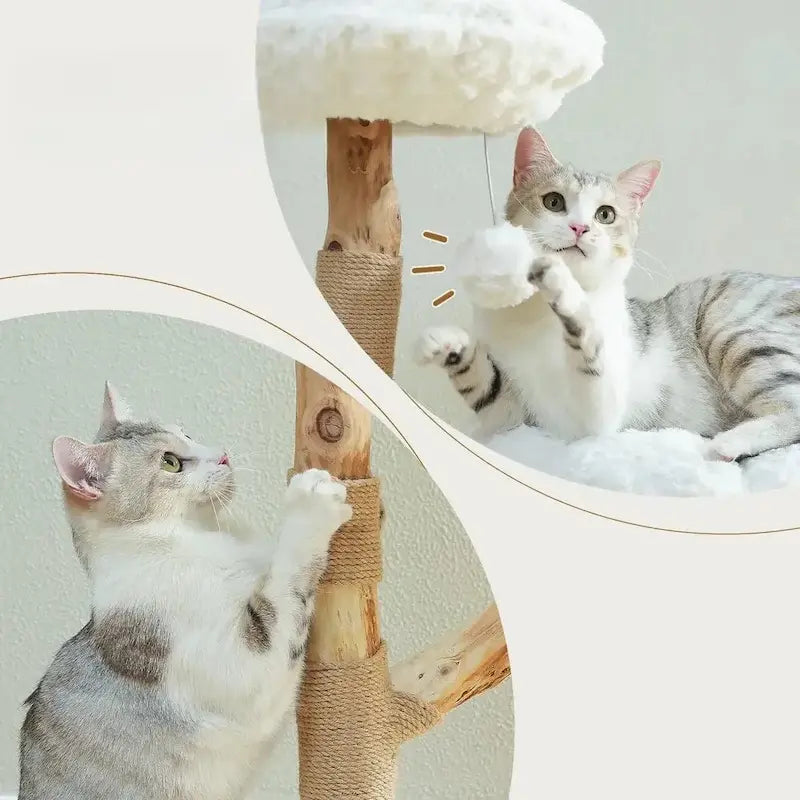 Arbre à chat nuage