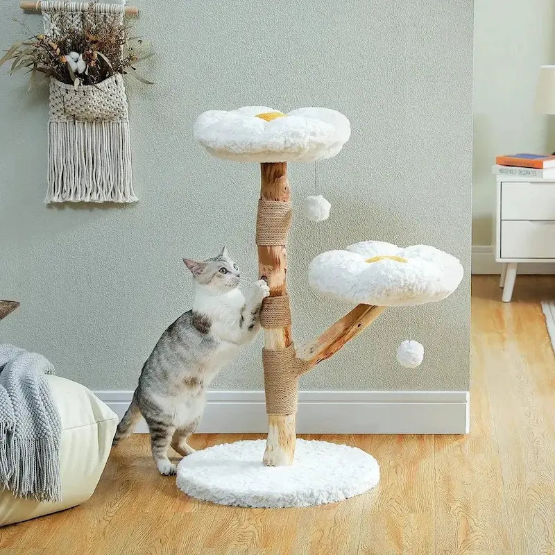 Arbre à chat nuage