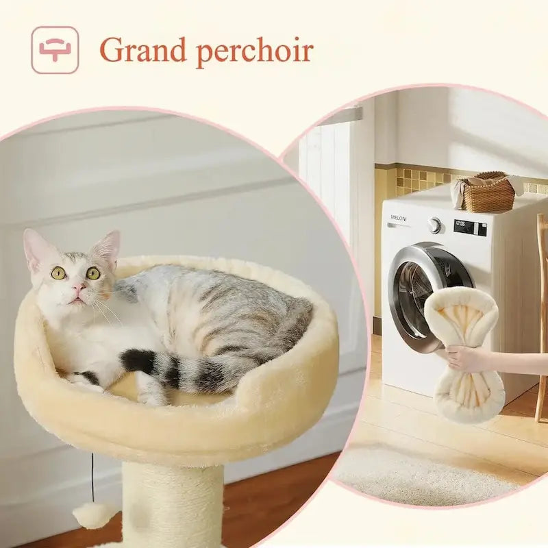 Arbre à chat avec griffoir