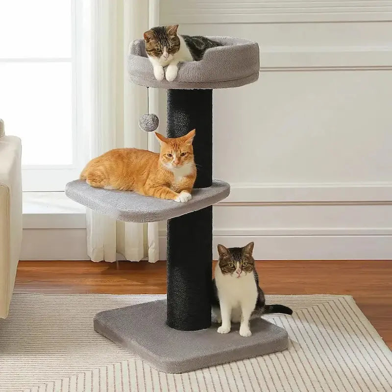 Arbre à chat avec griffoir