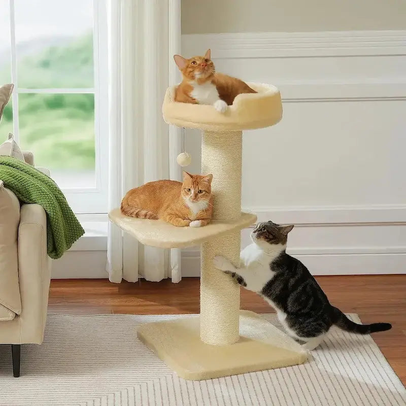Arbre à chat avec griffoir