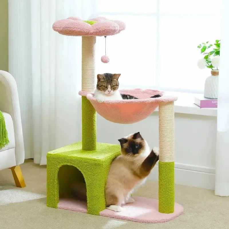 Arbre à chat fleur