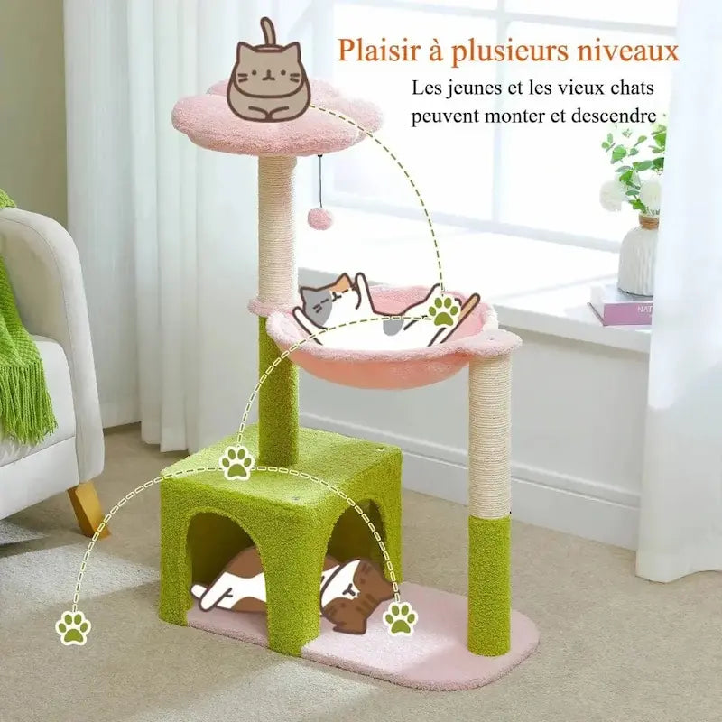 Arbre à chat fleur