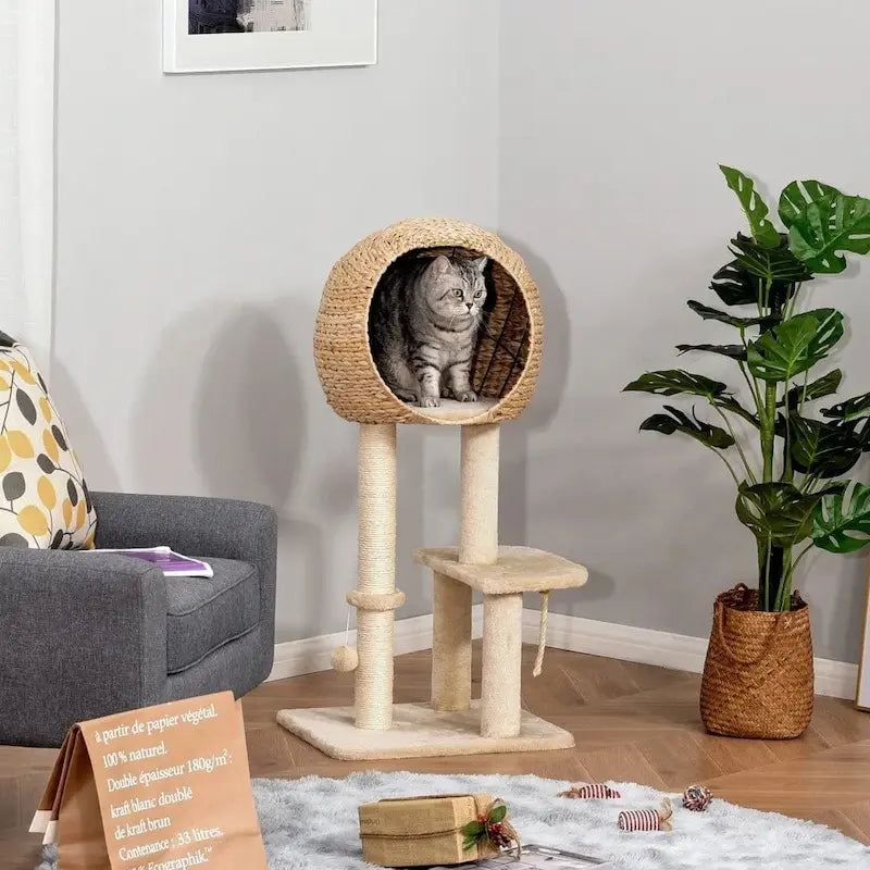 Arbre à chat avec panier