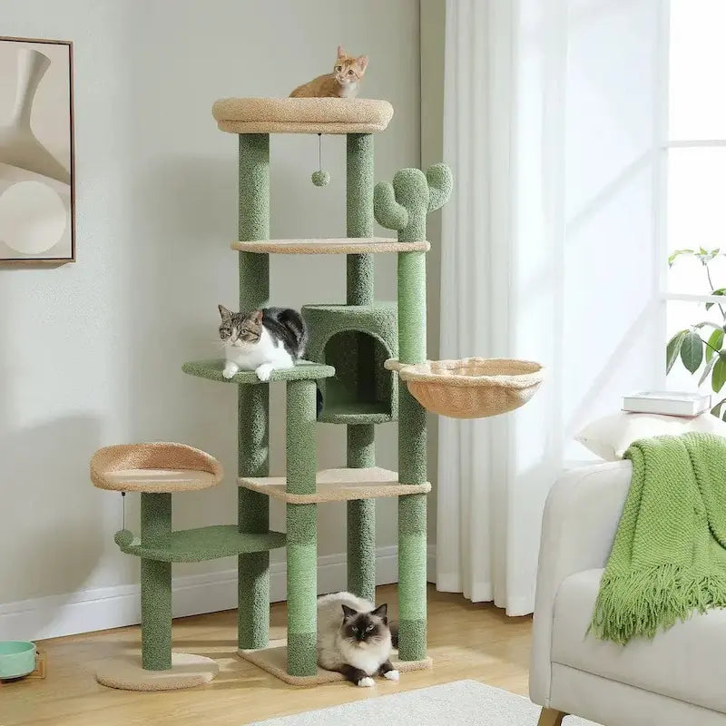 Arbre à chat pour grand chat