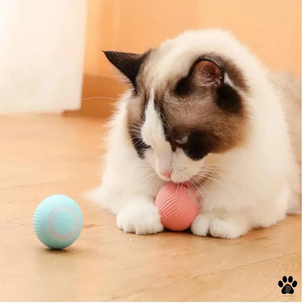 Balle interactive chat - Griffe d'Amour