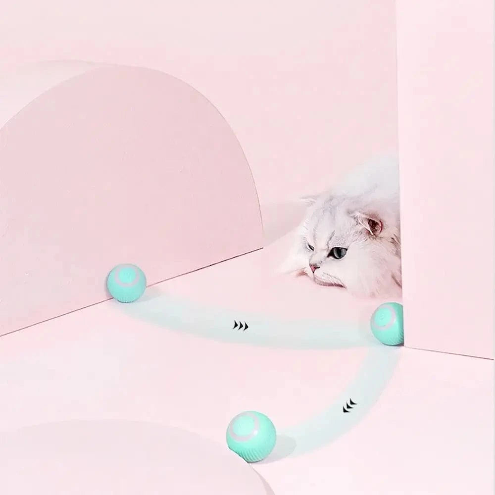 Balle interactive chat - Griffe d'Amour