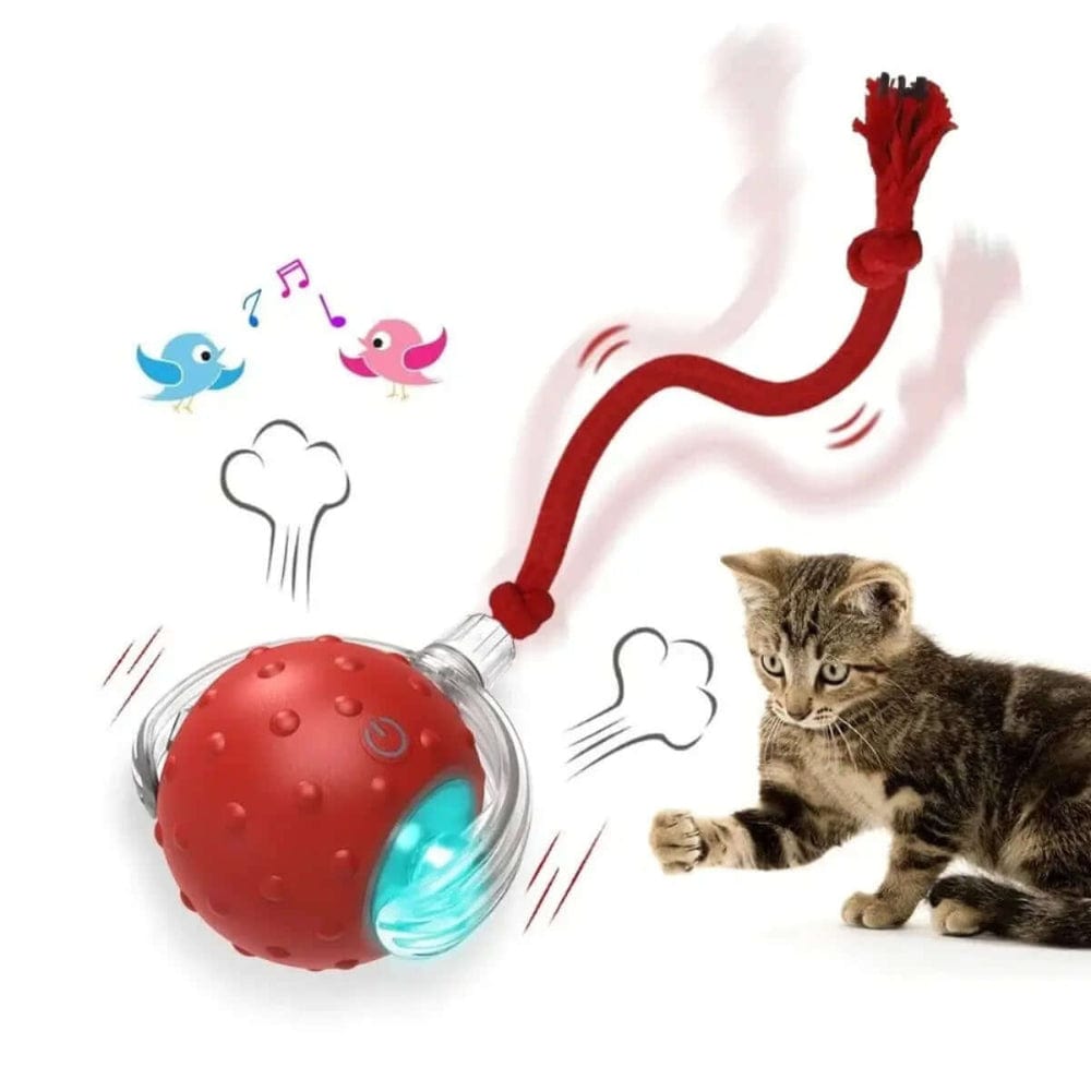 Balle magique pour chat - Griffe d'Amour