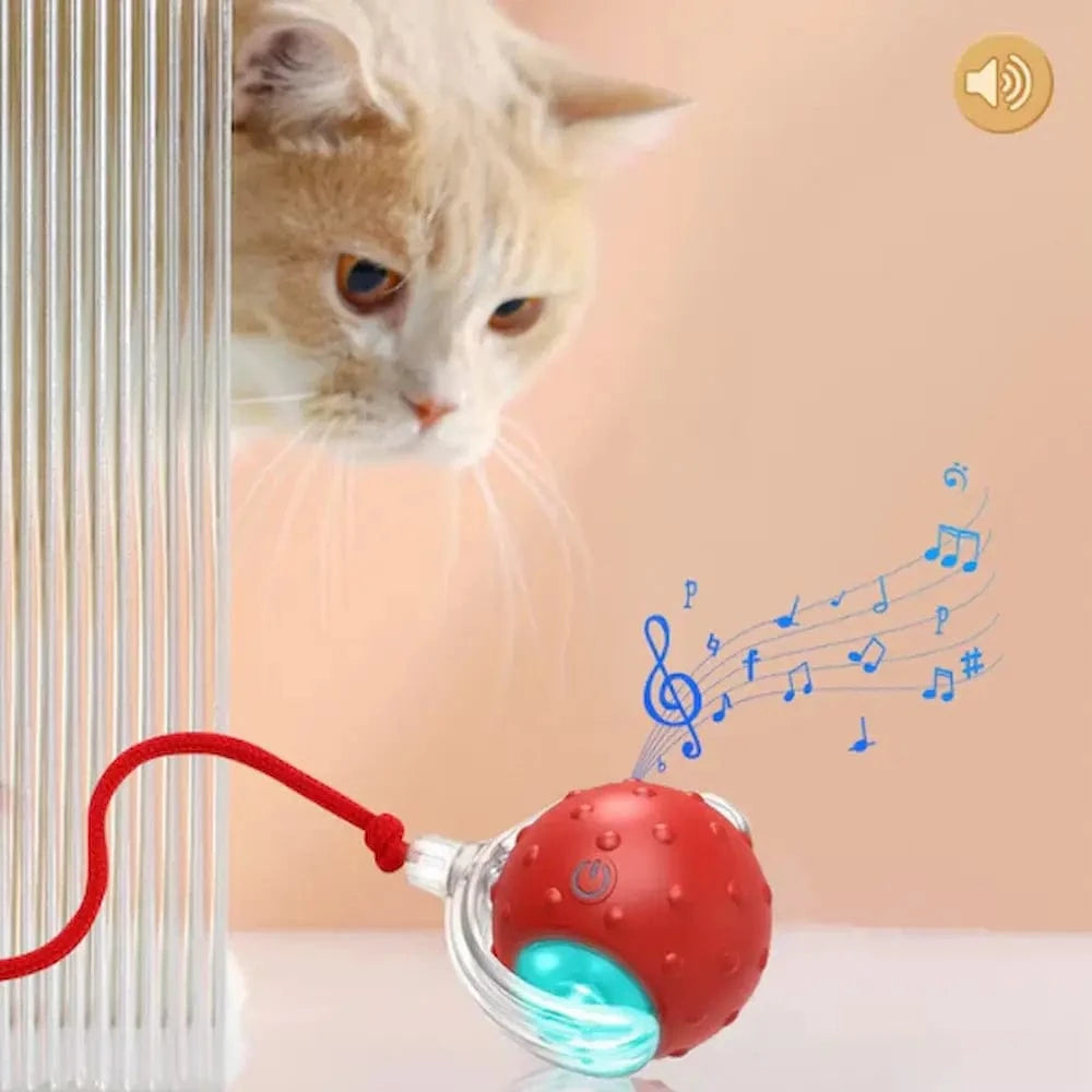 Balle magique pour chat - Griffe d'Amour