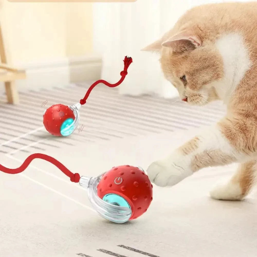 Balle magique pour chat - Griffe d'Amour