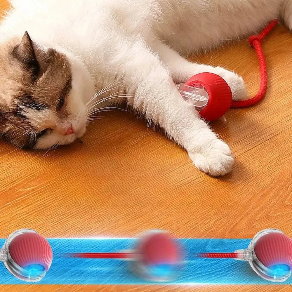 Balle magique pour chat - Griffe d'Amour