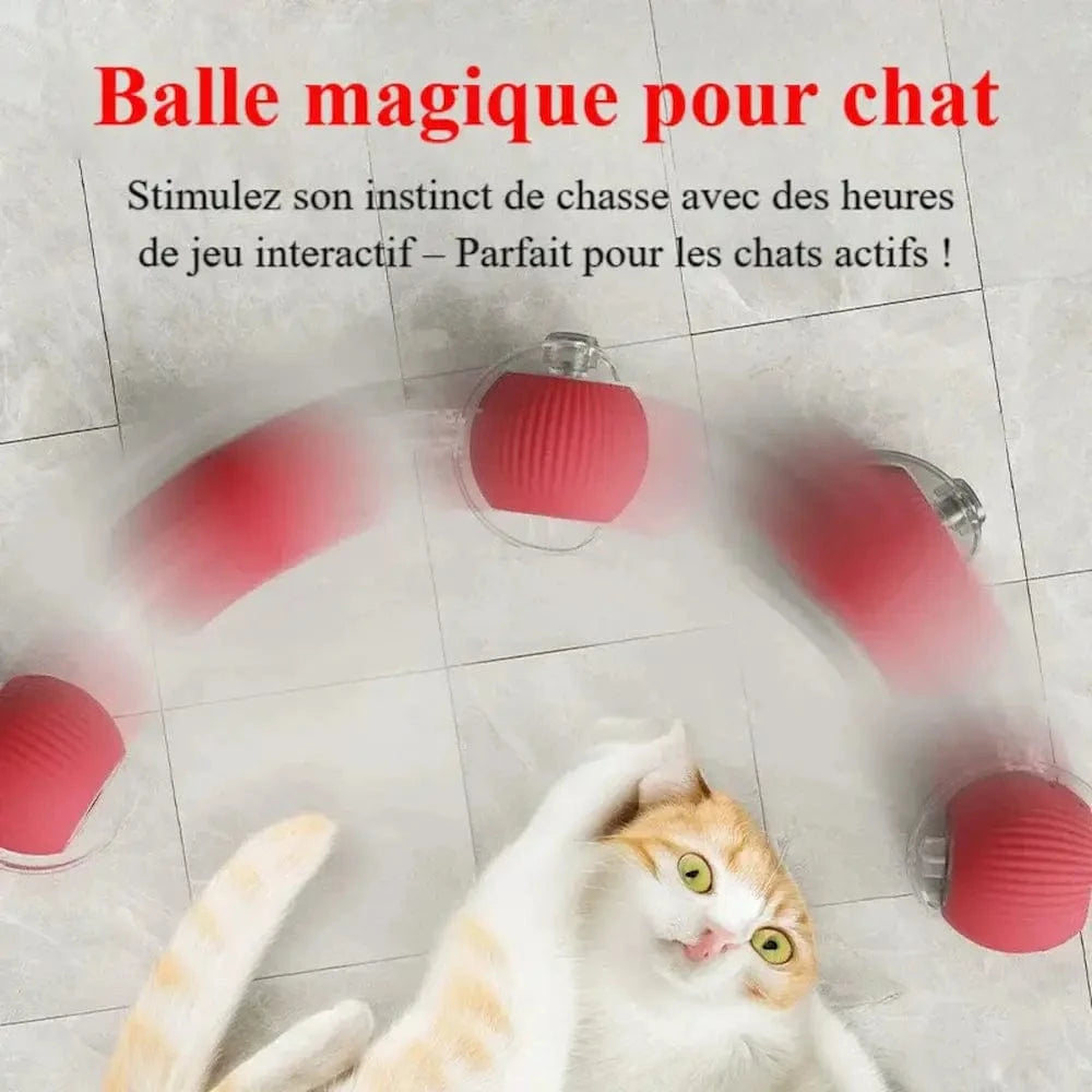 Balle magique pour chat - Griffe d'Amour