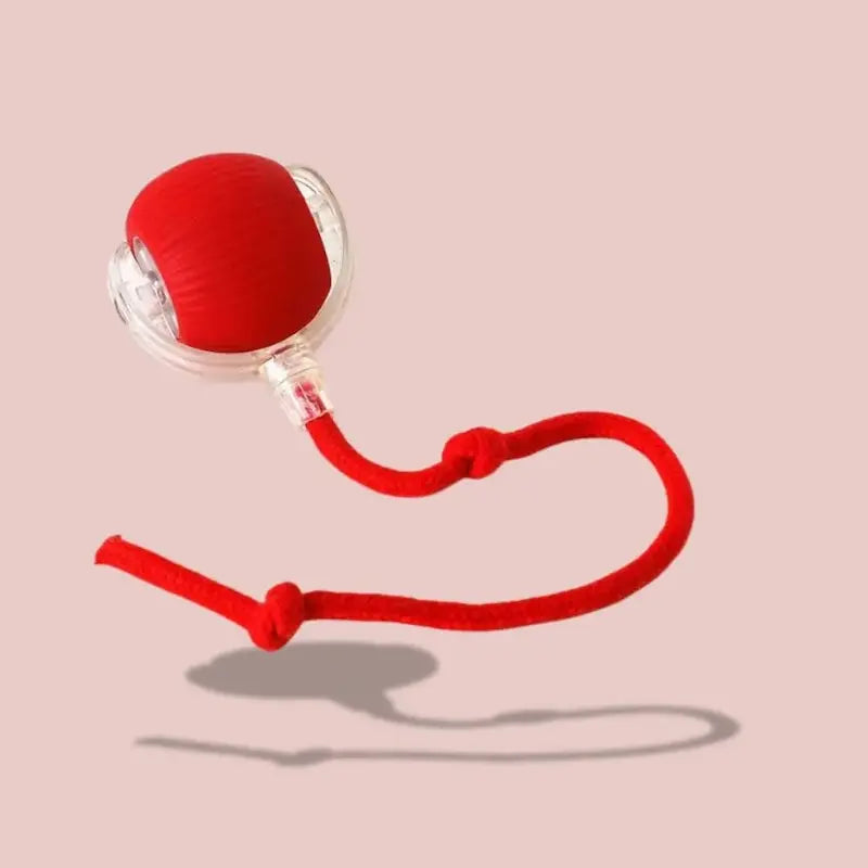 Balle magique pour chat