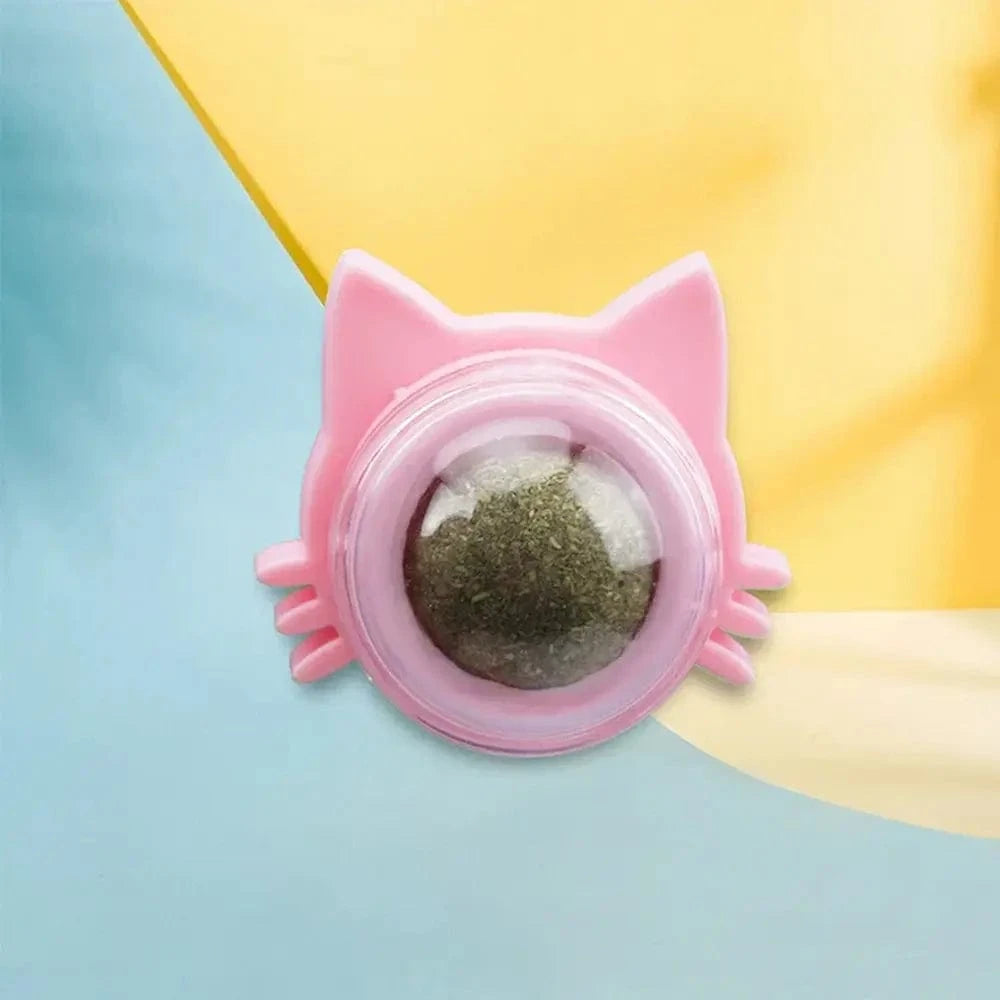 Boule herbe à chat murale - Griffe d'Amour