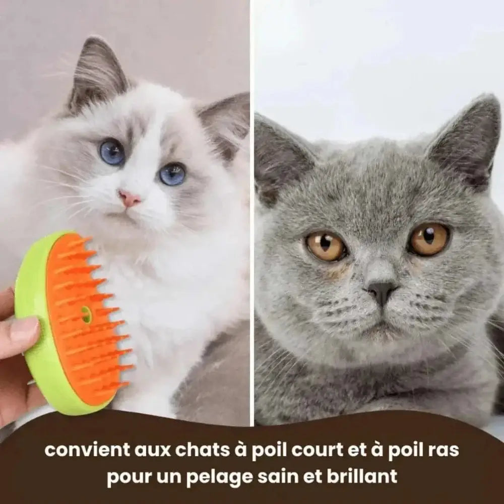 Brosse vapeur pour chat - Griffe d'Amour