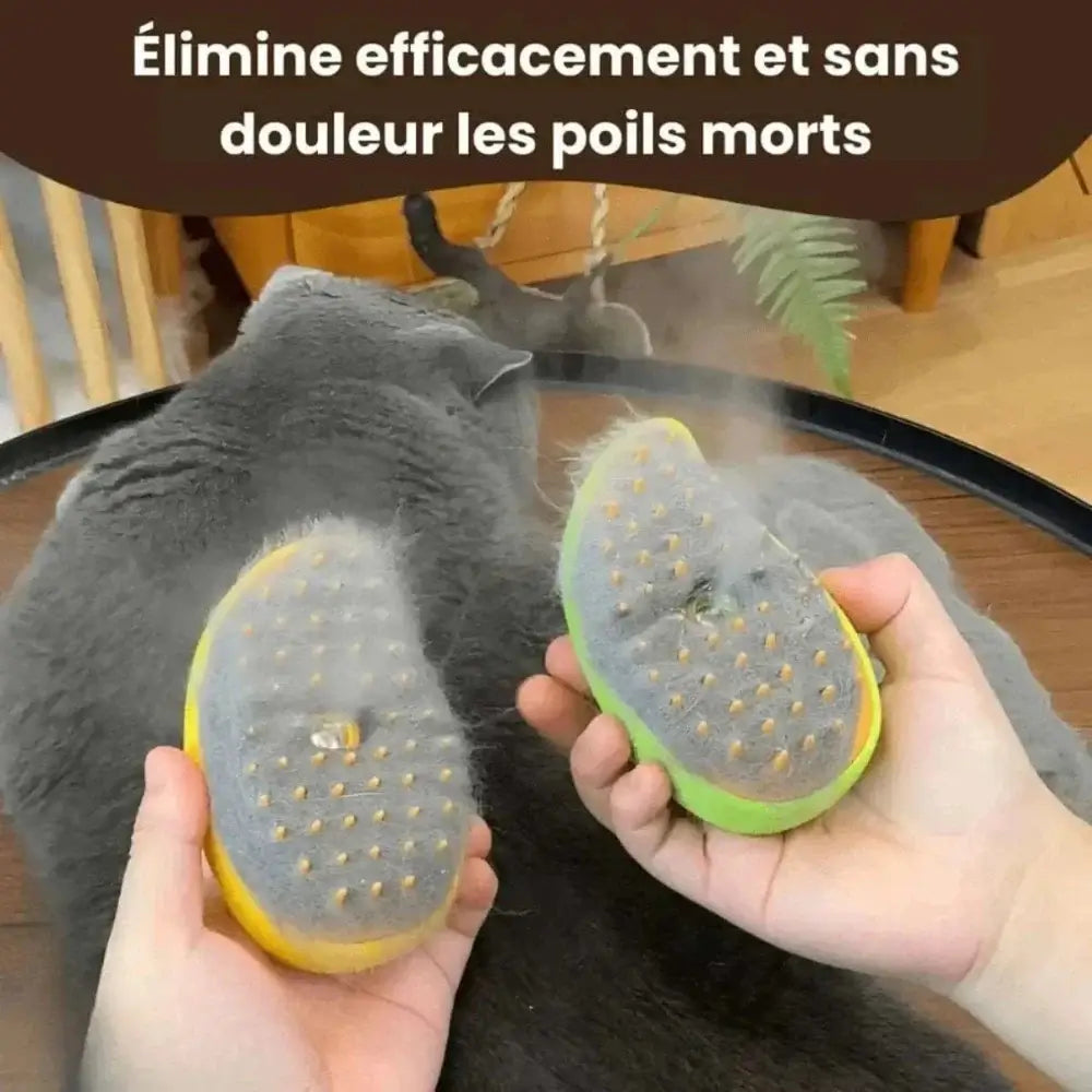 Brosse vapeur pour chat - Griffe d'Amour
