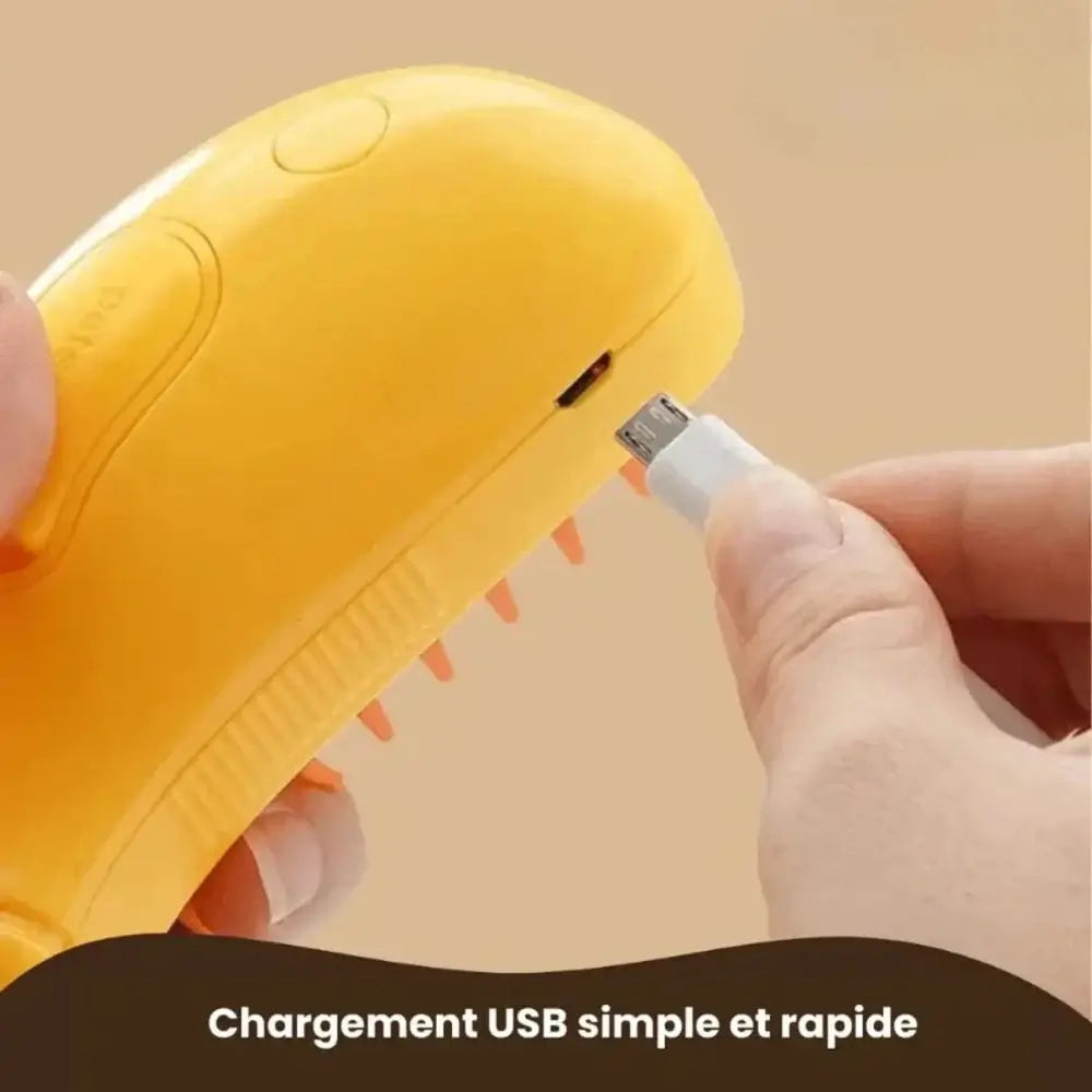 Brosse vapeur pour chat - Griffe d'Amour