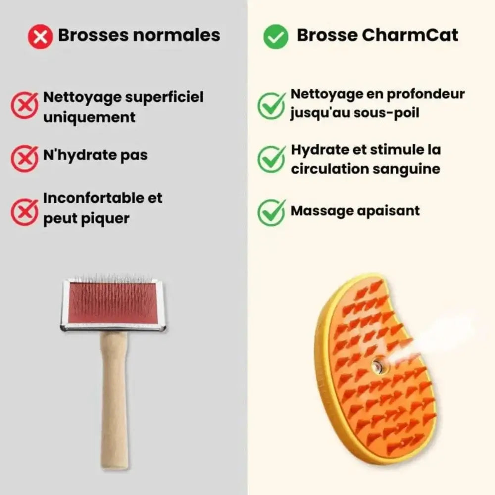 Brosse vapeur pour chat - Griffe d'Amour