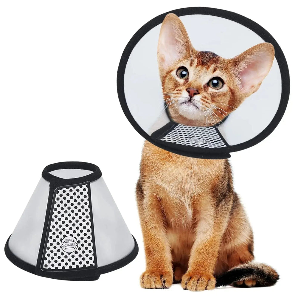 Collerette souple pour chat Griffe d'Amour