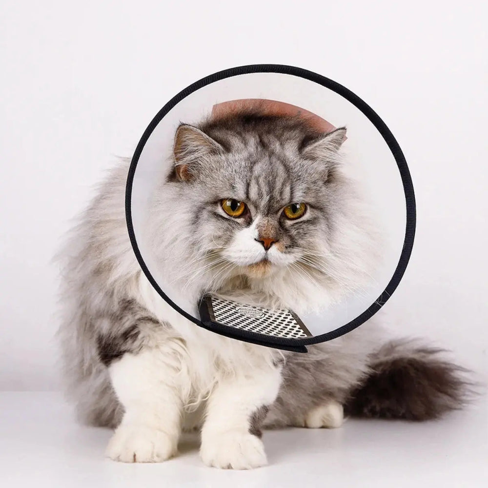 Collerette souple pour chat Griffe d'Amour