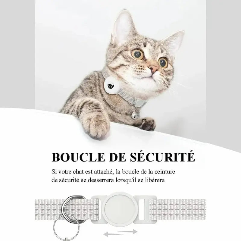 Collier GPS chat anti-étranglement