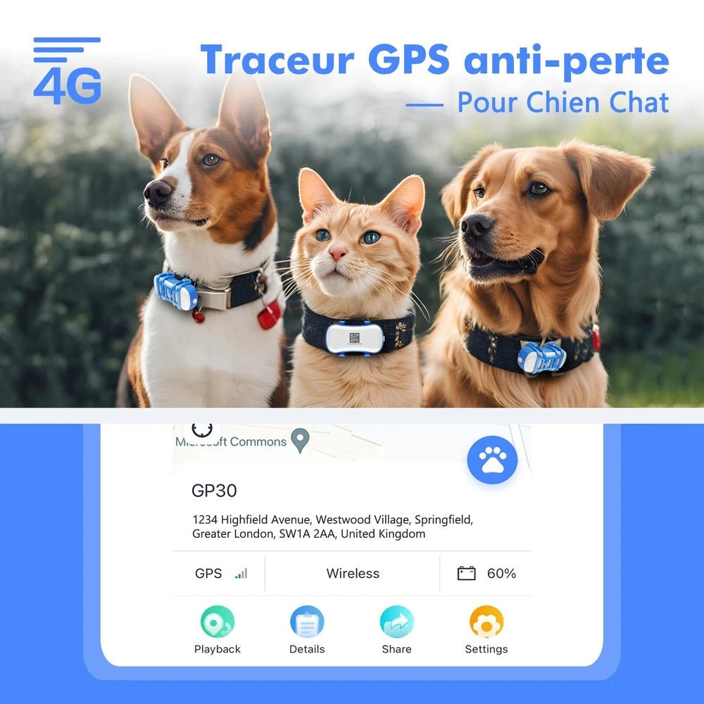 Collier gps chat avec abonnement - Suivi en temps réel Griffe d'Amour