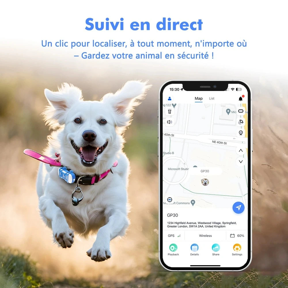 Collier gps chat avec abonnement - Suivi en temps réel Griffe d'Amour