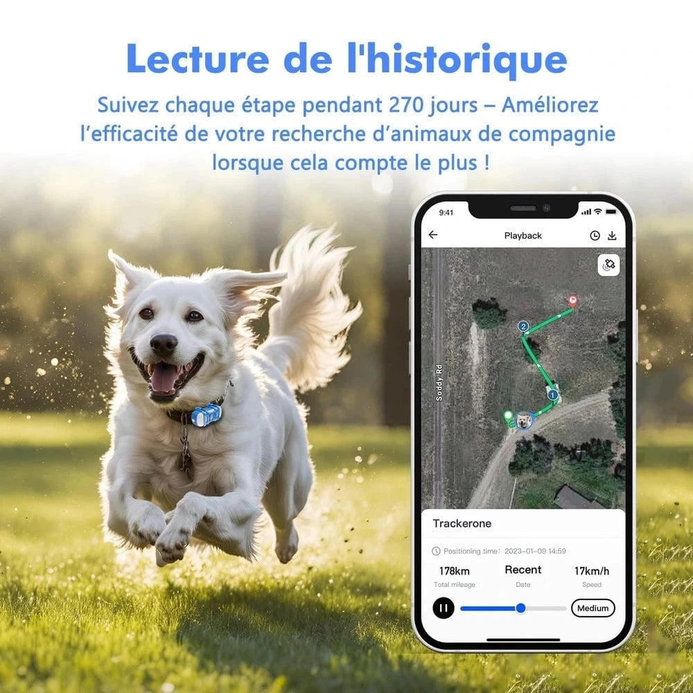 Collier gps chat avec abonnement - Suivi en temps réel Griffe d'Amour