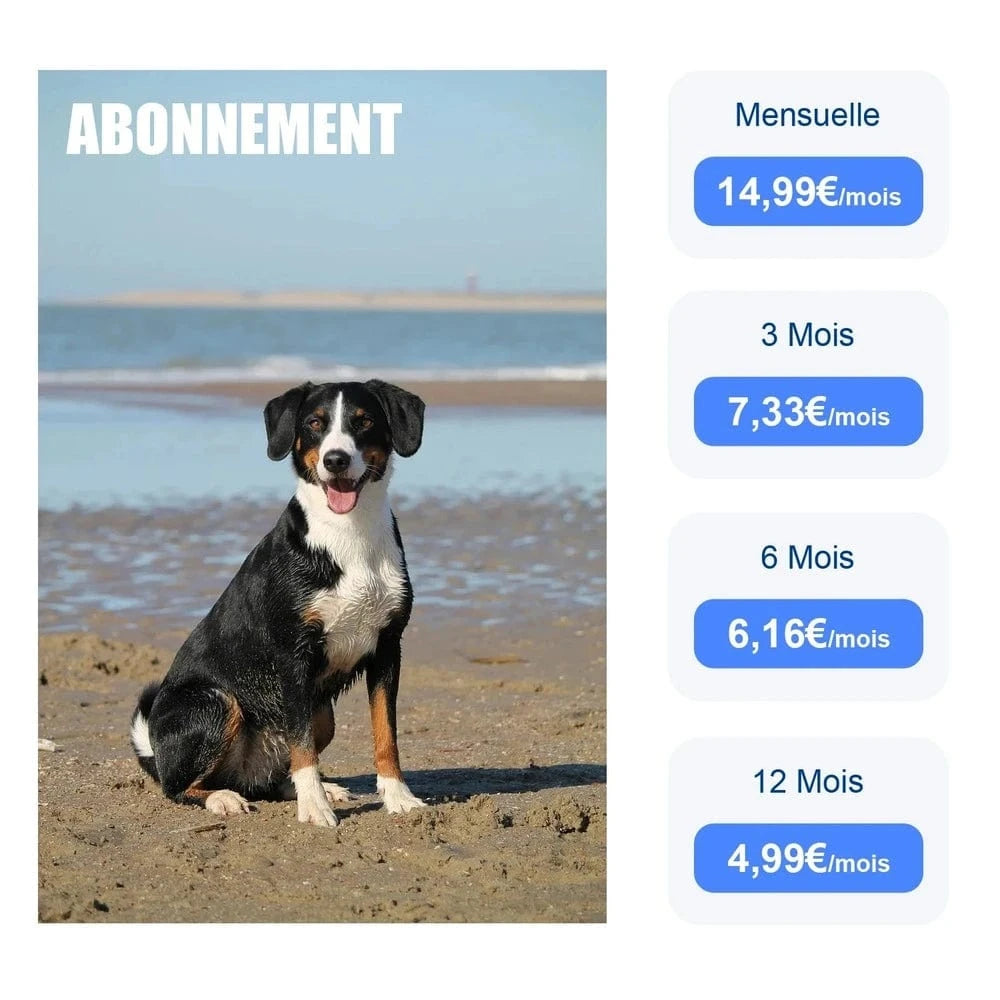 Collier gps chat avec abonnement - Suivi en temps réel Griffe d'Amour