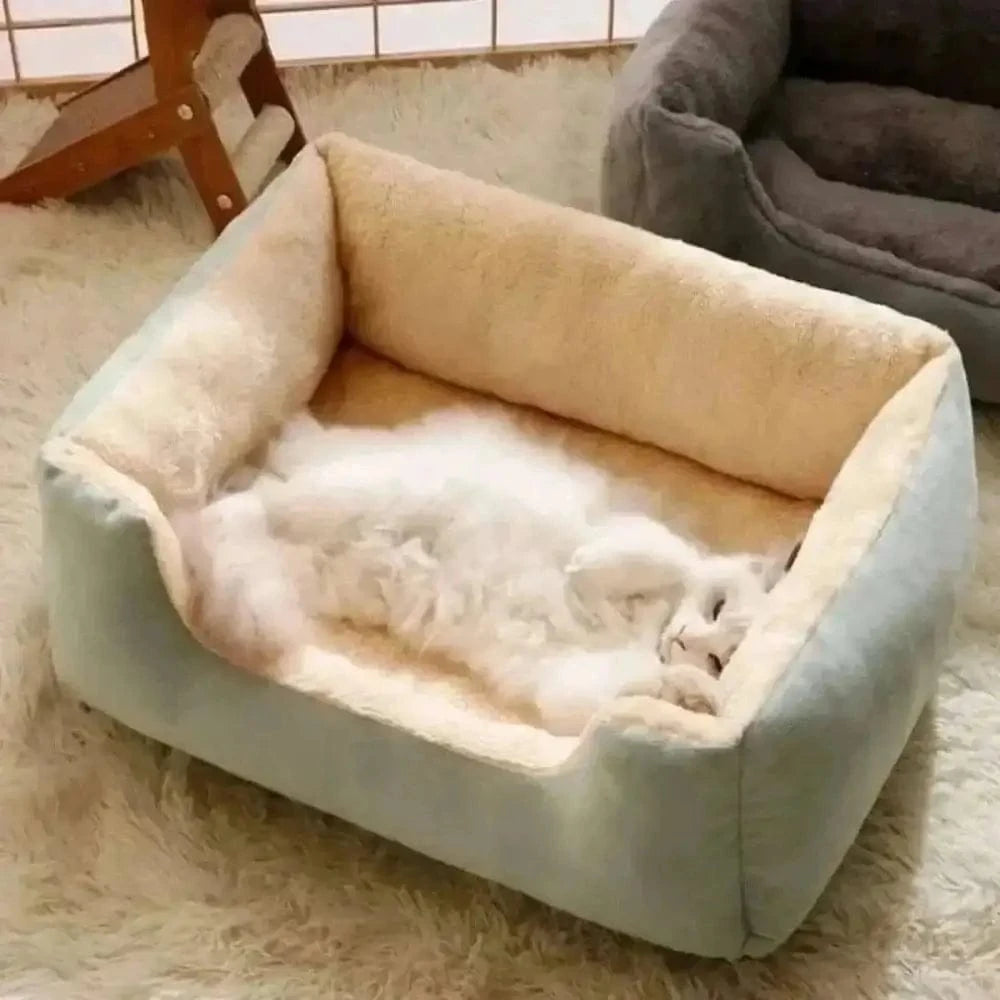 Coussin rectangulaire pour chat - Griffe d'Amour