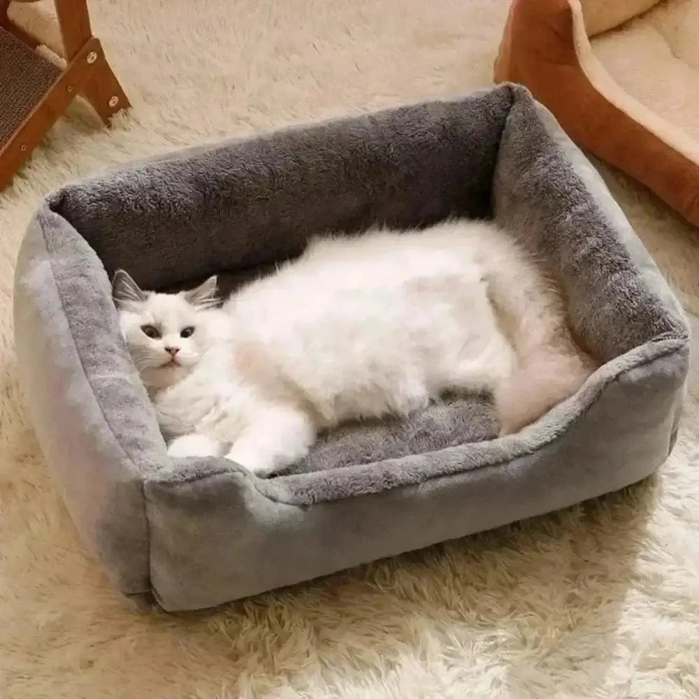 Coussin rectangulaire pour chat - Griffe d'Amour