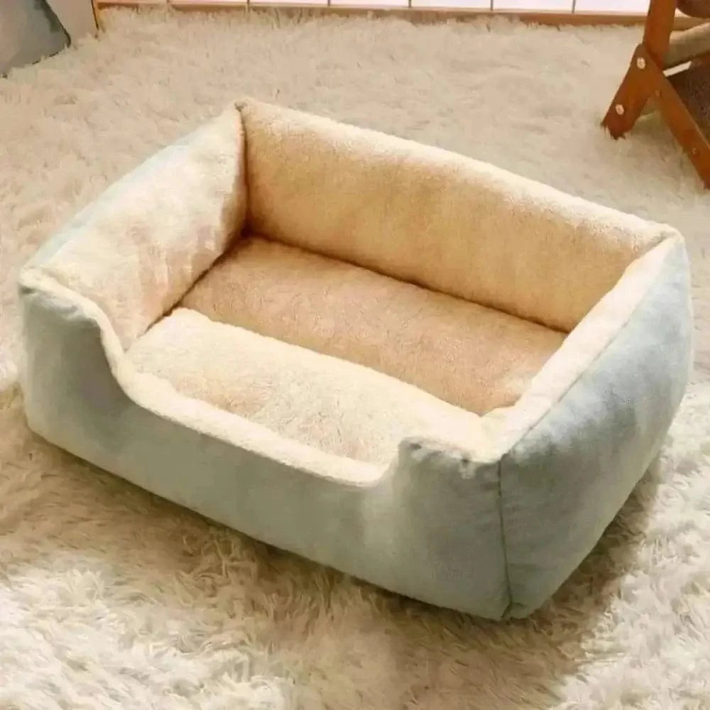 Coussin rectangulaire pour chat - Griffe d'Amour