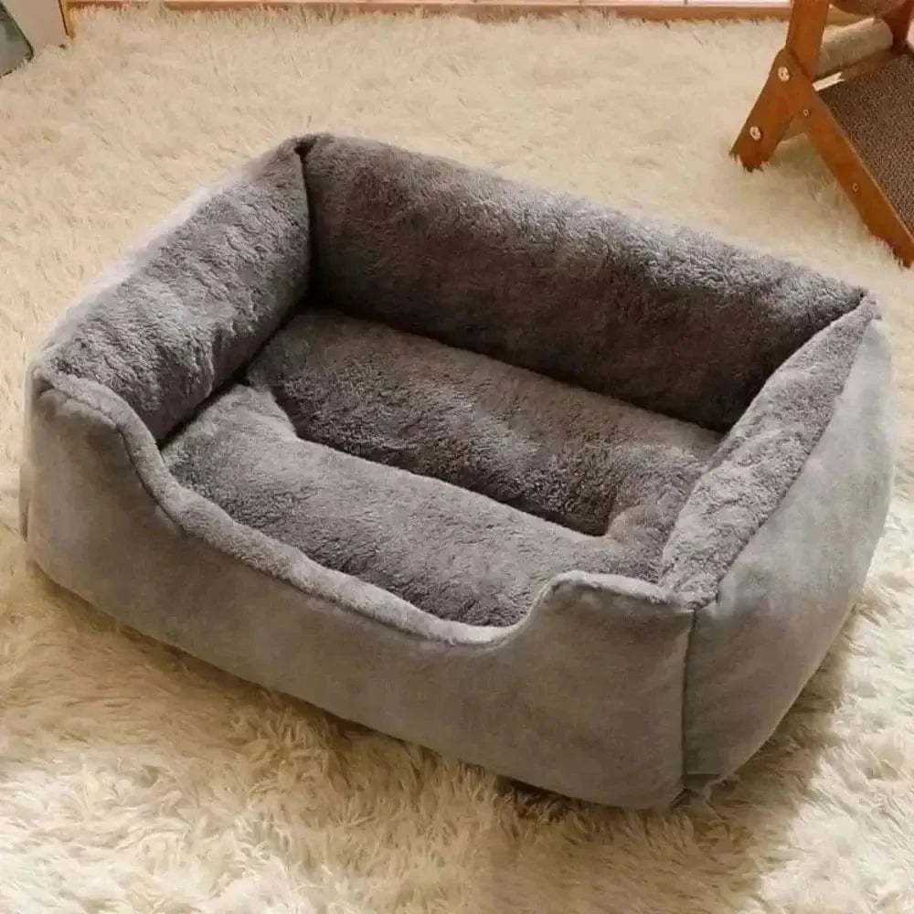 Coussin rectangulaire pour chat - Griffe d'Amour