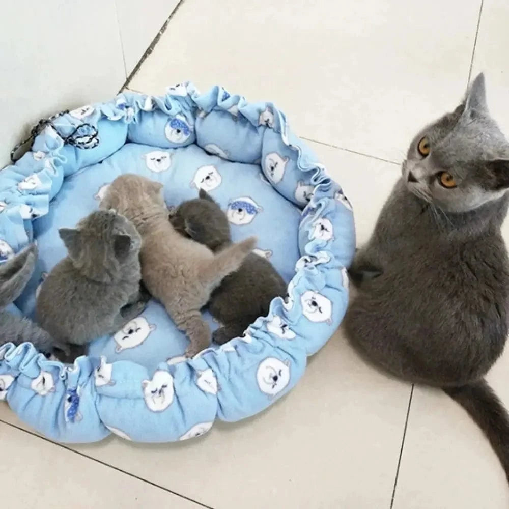 Coussin douillet pour chat Griffe d'Amour