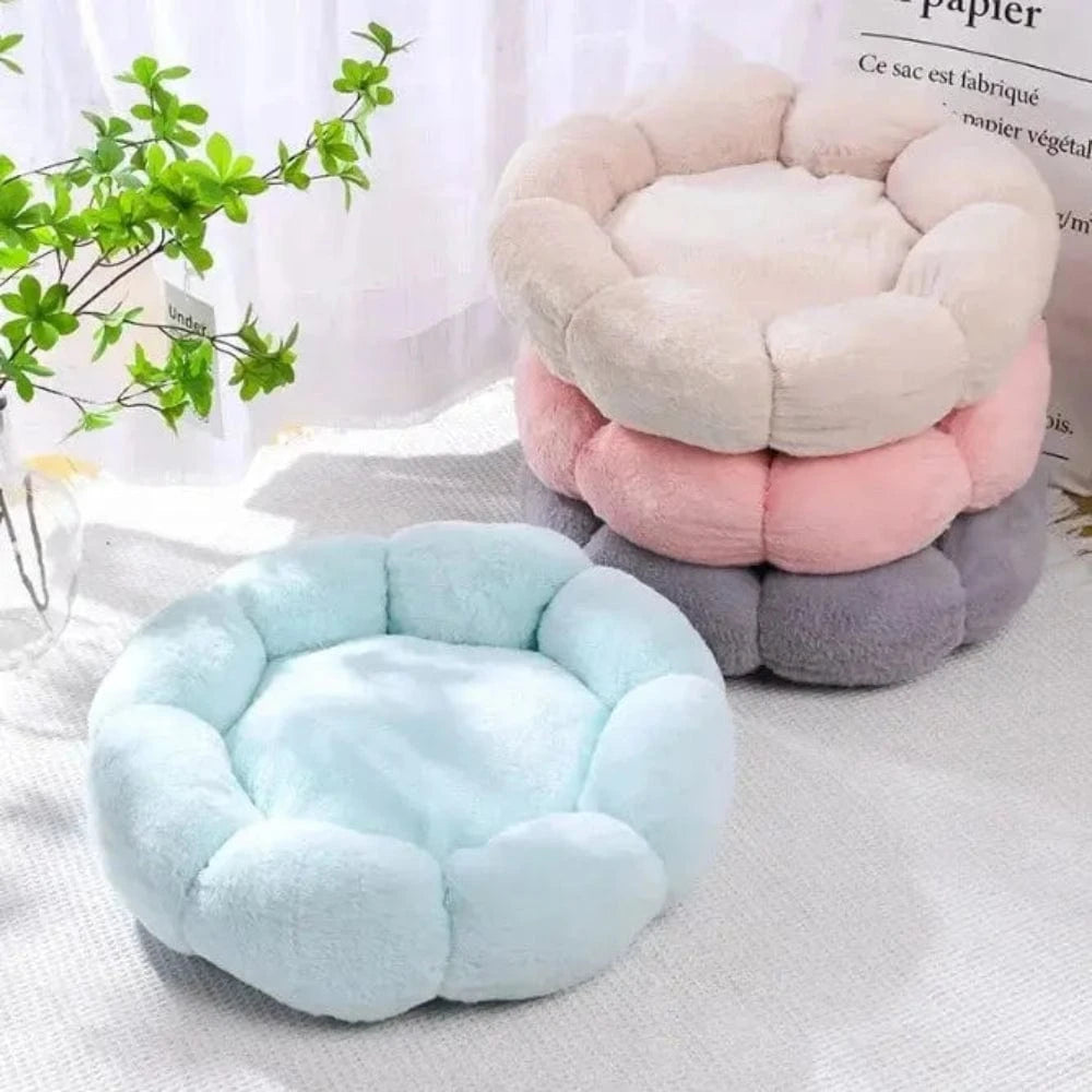 Coussin pour chat en forme de fleur Griffe d'Amour