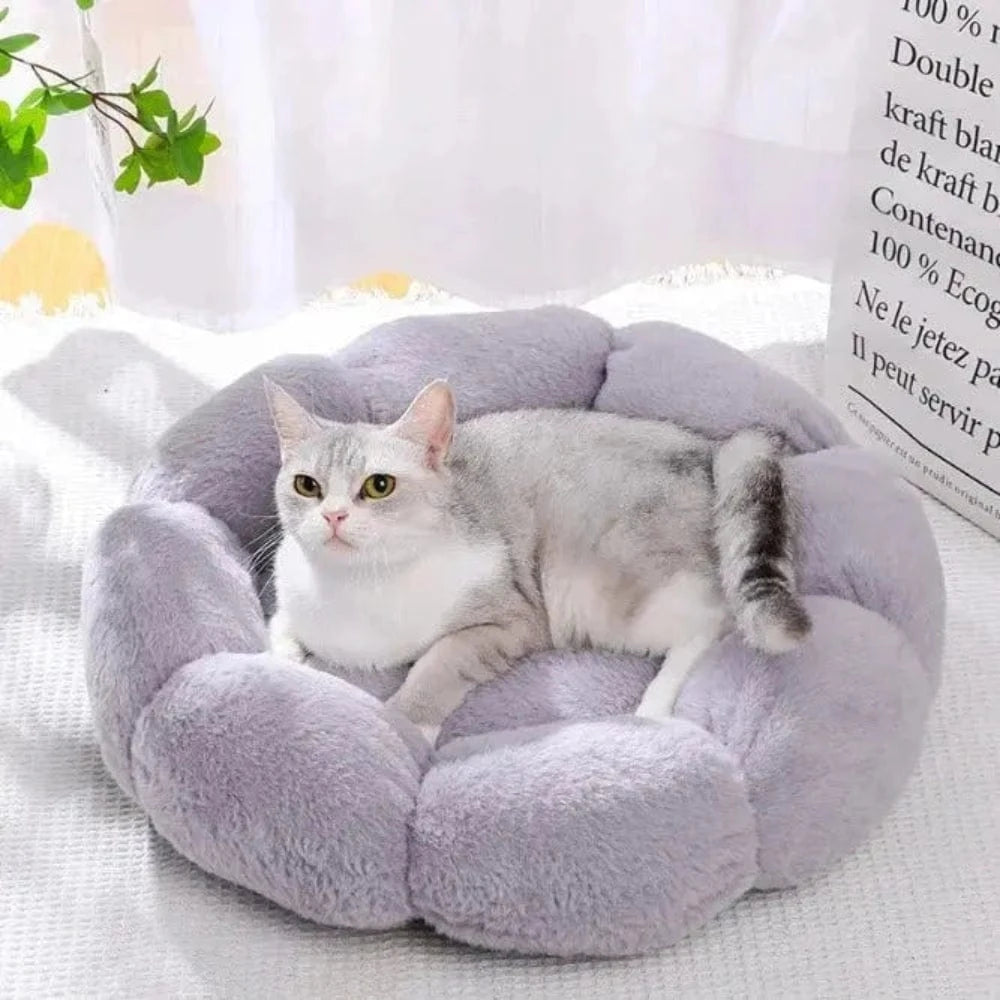 Coussin pour chat en forme de fleur Griffe d'Amour