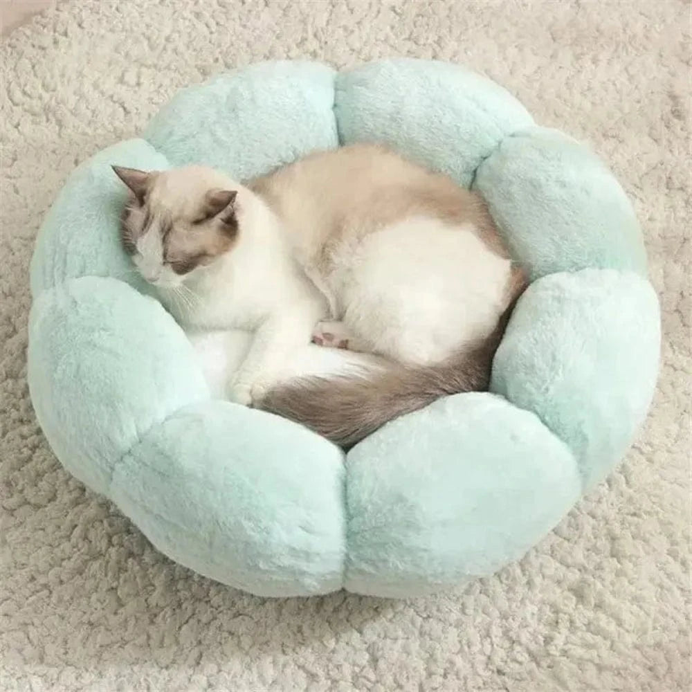 Coussin pour chat en forme de fleur Griffe d'Amour