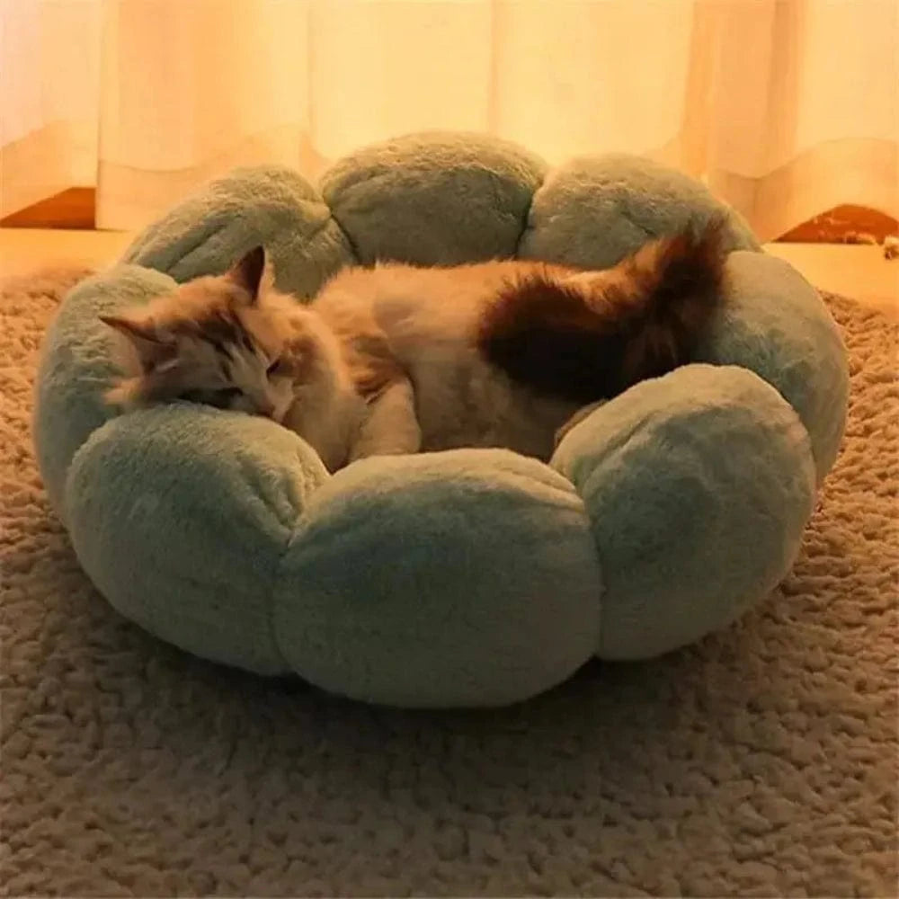 Coussin pour chat en forme de fleur Griffe d'Amour