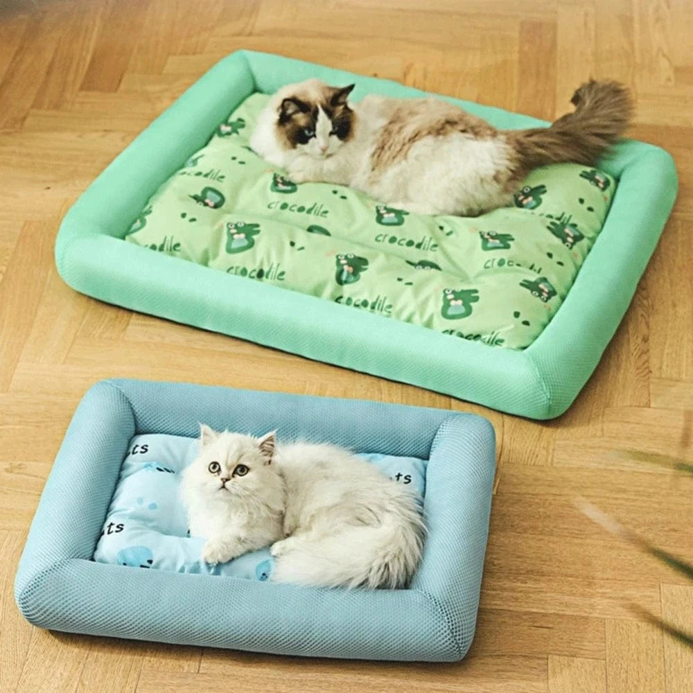 Coussin rafraichissant chat - Fraîcheur Instantanée Griffe d'Amour