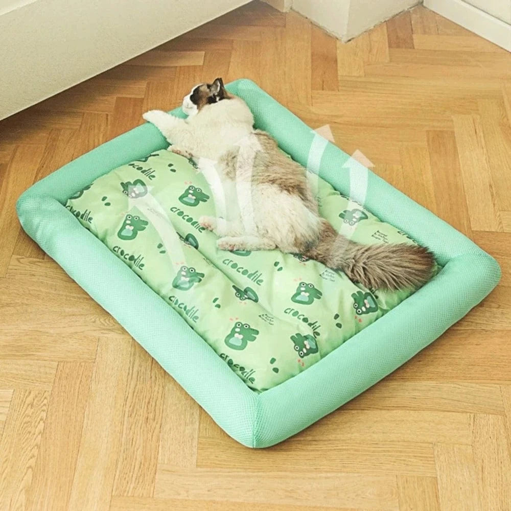 Coussin rafraichissant chat - Fraîcheur Instantanée Griffe d'Amour