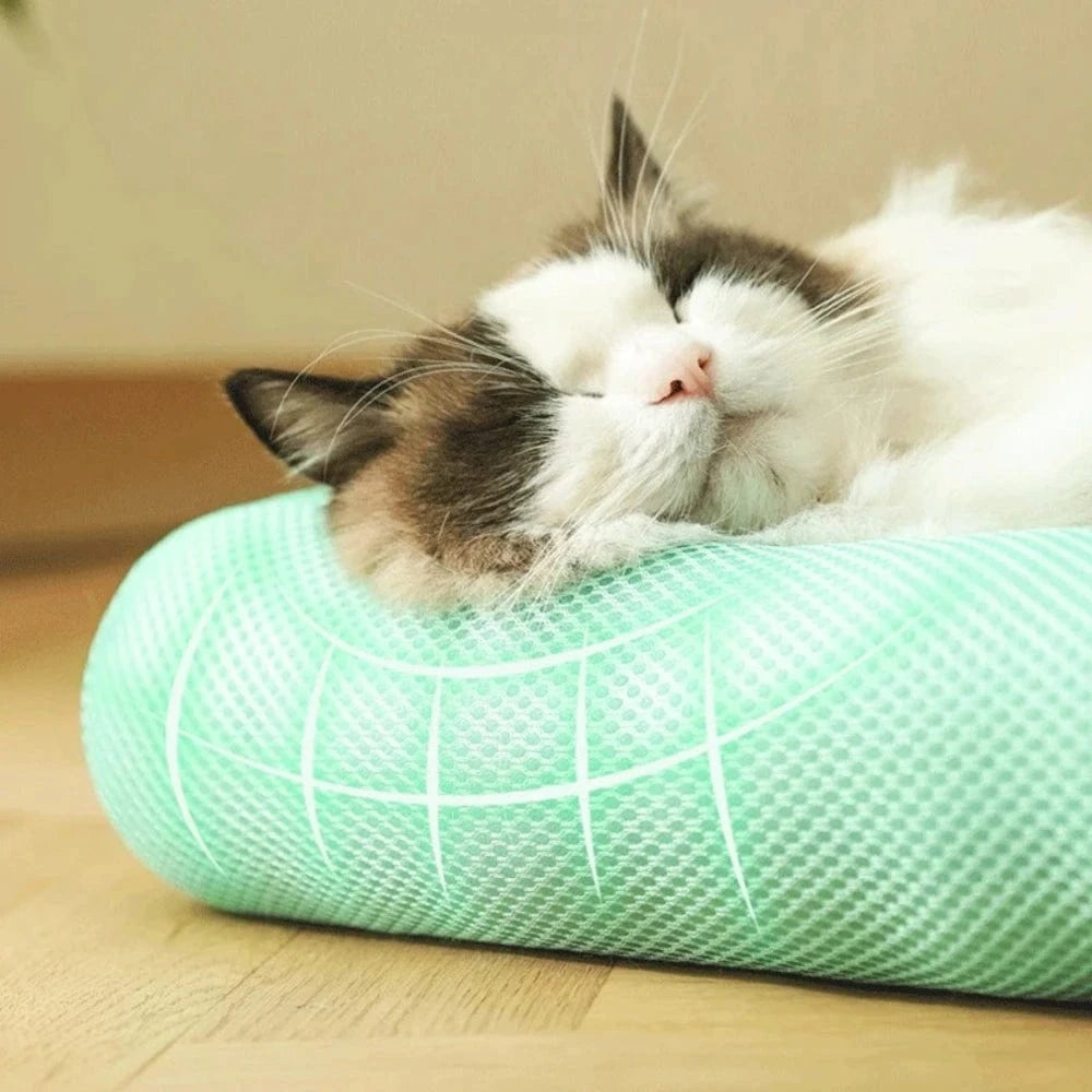 Coussin rafraichissant chat - Fraîcheur Instantanée Griffe d'Amour