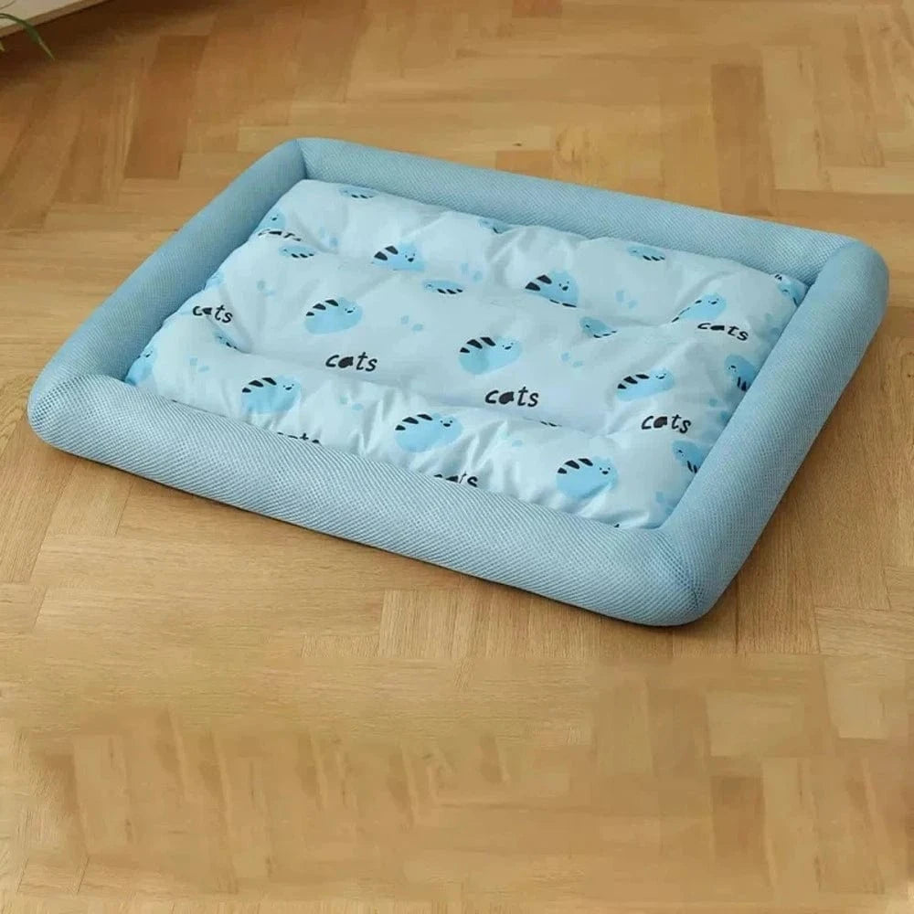 Coussin rafraichissant chat - Fraîcheur Instantanée Griffe d'Amour