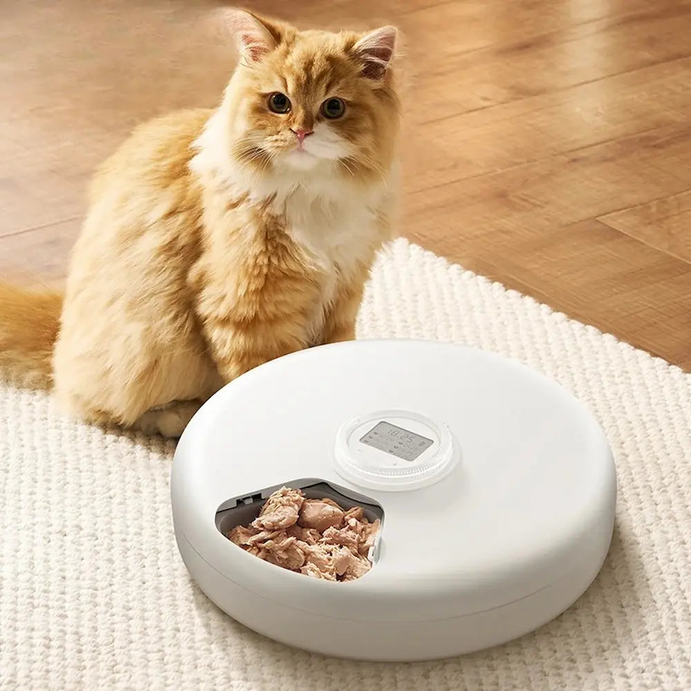 Distributeur automatique croquette 6 repas Griffe d'Amour