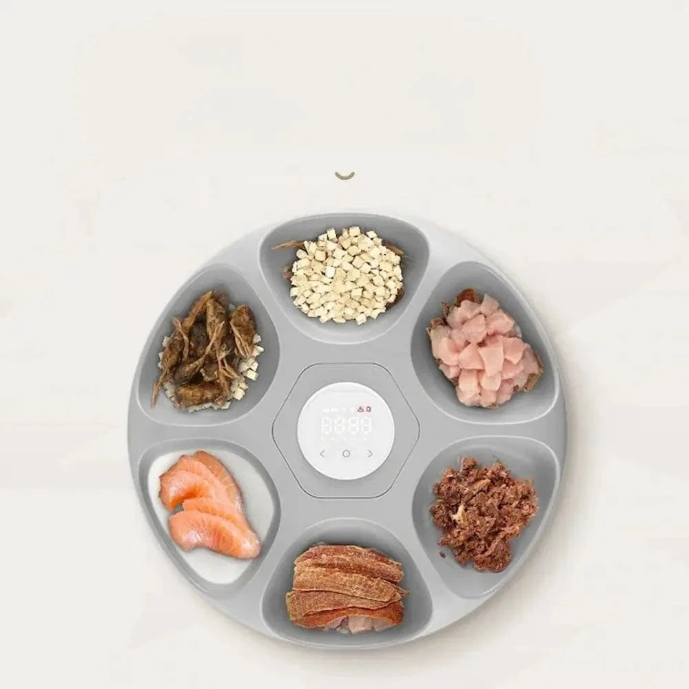 Distributeur automatique croquette 6 repas Griffe d'Amour