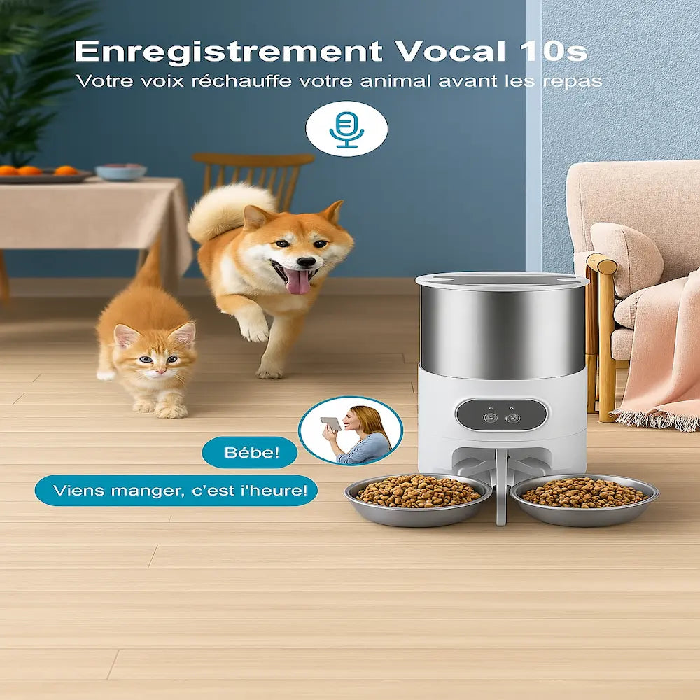 Distributeur automatique de croquettes pour 2 chats Griffe d'Amour