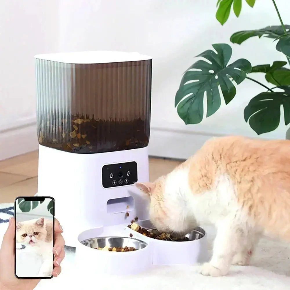 Distributeur de croquettes pour chat avec camera - Griffe d'Amour
