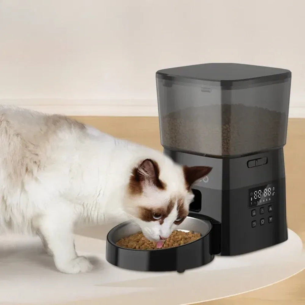 Distributeur de croquettes pour chat connecté - Griffe d'Amour