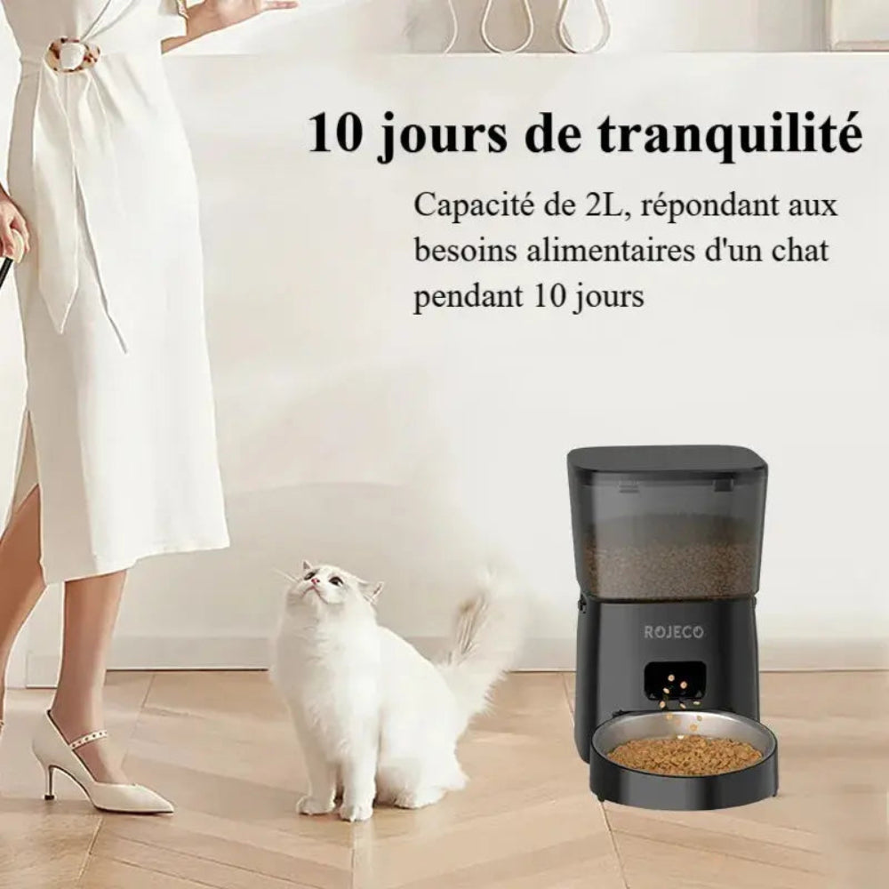 Distributeur de croquettes pour chat connecté - Griffe d'Amour