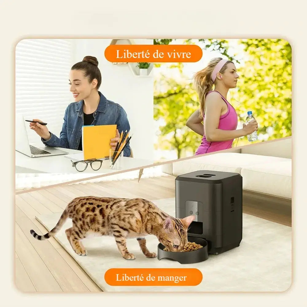 Distributeur programmable de croquettes pour chat - Griffe d'Amour
